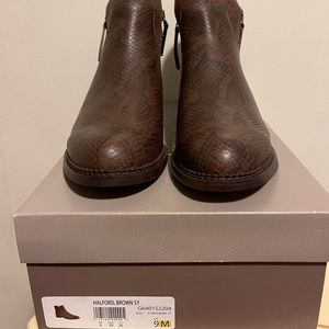 Franco Sarto, Halford, Brown